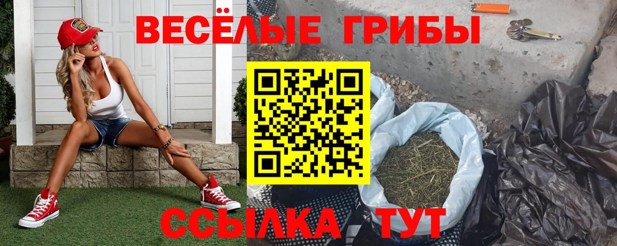 Псилоцибиновые грибы Psilocybine cubensis Усть-Илимск