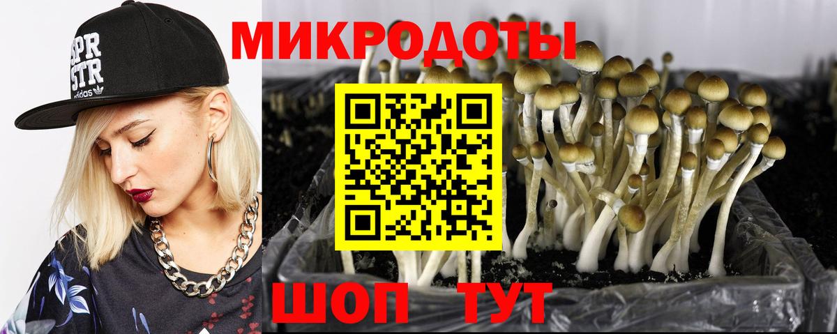 Галлюциногенные грибы мухоморы  Вход с VPN  Усть-Илимск 